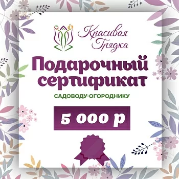 Подарочный сертификат 5000 р.